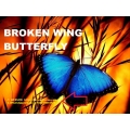 John Locke - Broken Wing Butterfly Master Track Series